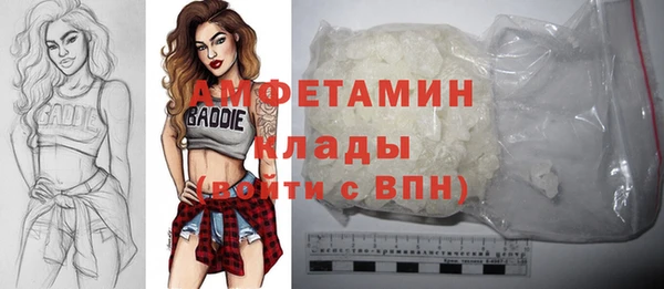 индика Заводоуковск