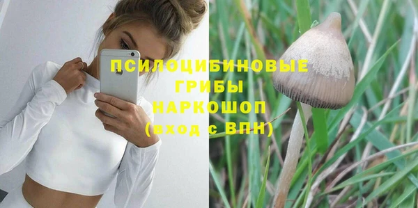 дмт Заволжск