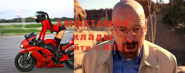 индика Заводоуковск