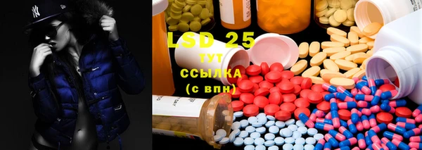 индика Заводоуковск