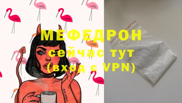 индика Заводоуковск