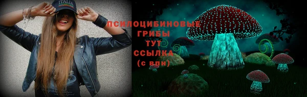 дмт Заволжск