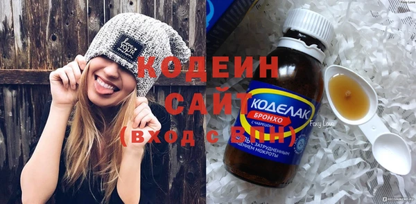 индика Заводоуковск