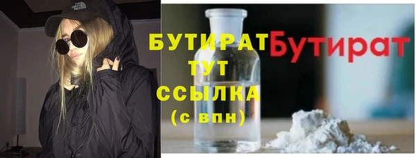 индика Заводоуковск