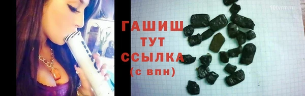 индика Заводоуковск
