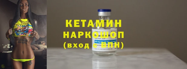 индика Заводоуковск