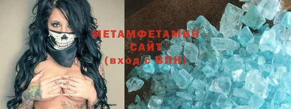 индика Заводоуковск