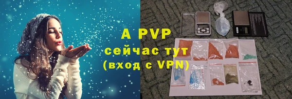 индика Заводоуковск