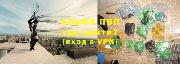 индика Заводоуковск