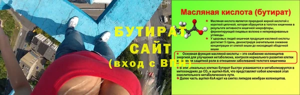 индика Заводоуковск