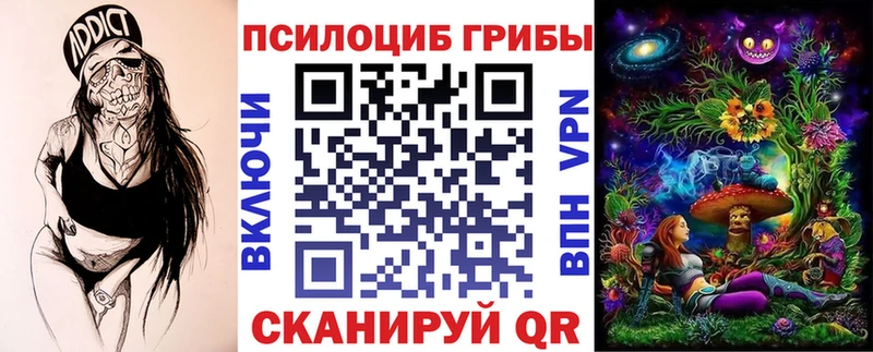 Купить закладки Кировград Псилоцибиновые грибы GOLDEN TEACHER